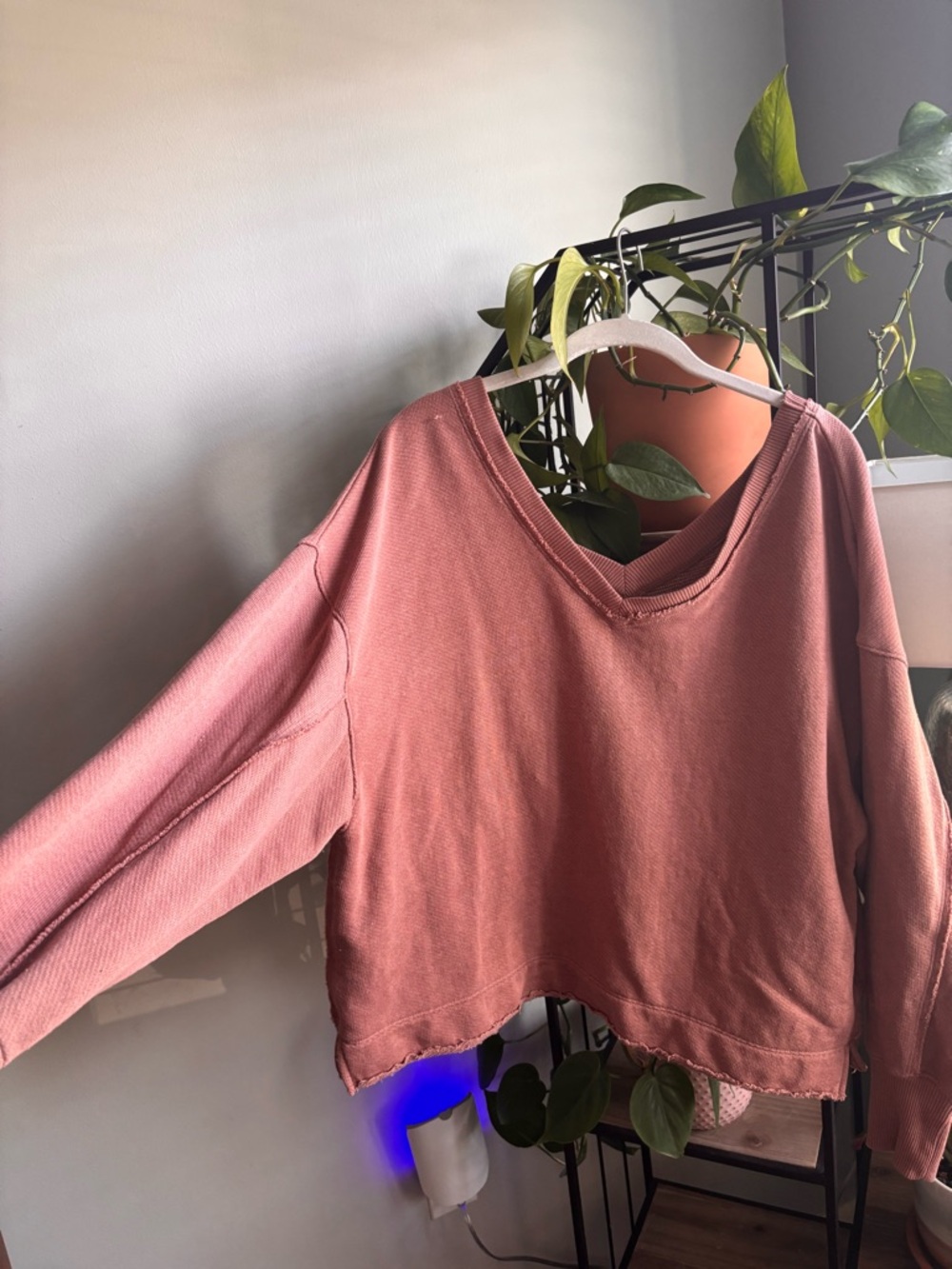 American Eagle Outfitters Washed Rose V-Neck Pullover